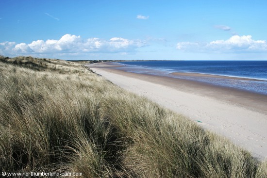 View north along the beach and dunes at Druridge Bay.