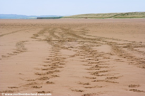 From a distance these look like vehicle tracks.
