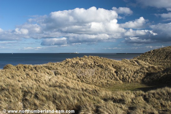 Views from the dunes above Warkworth Beach looking towards Amble Breakwater and Coquet Island.