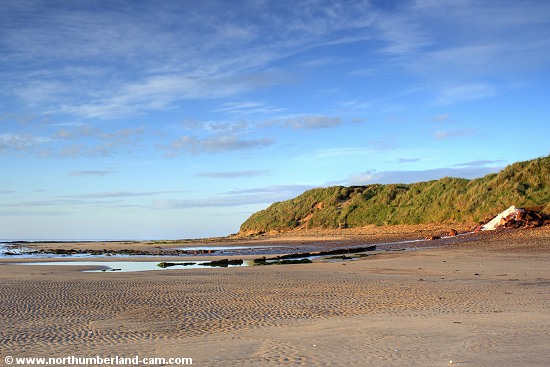 Early summer morning view of the beach at Amble Links, looking south near Hauxley.