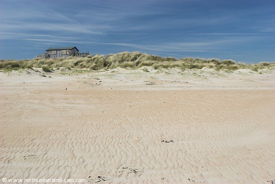 Old wooden hut in the dunes.