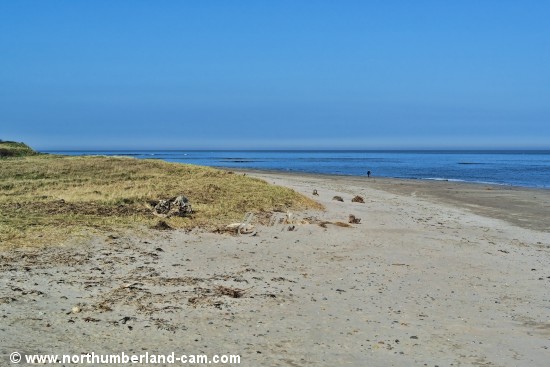Berwick Pier and the Little Beach.