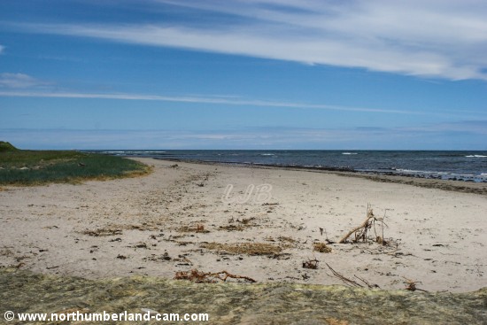 View of the Little Beach from Berwick Pier.