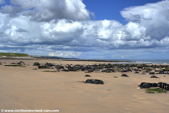 View north towards Berwick and the border.