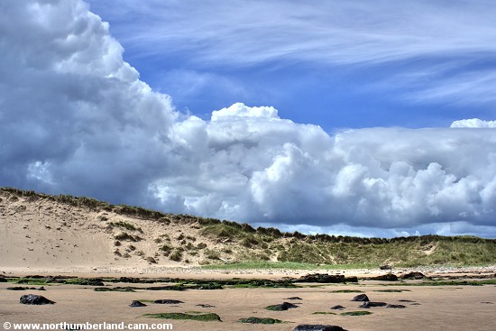 View of the large dunes.