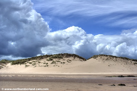 View of the large dunes.