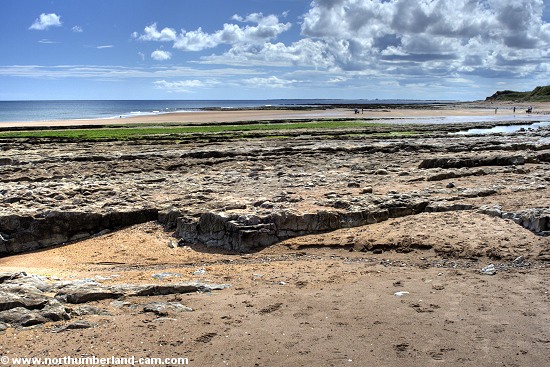 Looking south along the beach and rocks.