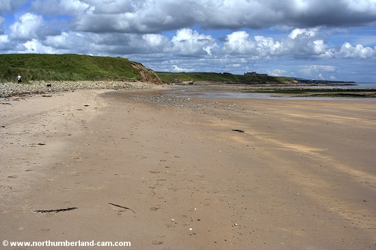 View north along the Beach.