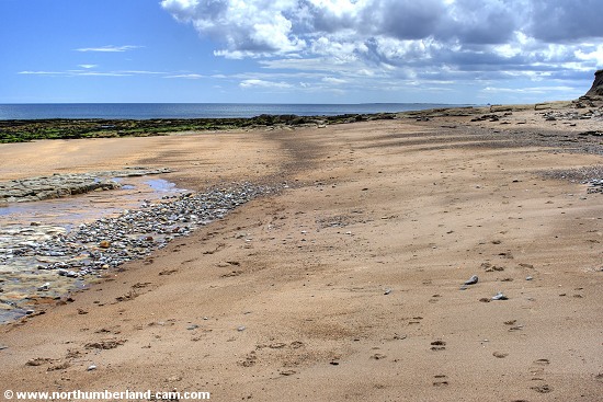 Looking south along the beach and rocks.