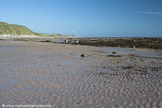 View north along the beach at St. Aidan's Dunes.