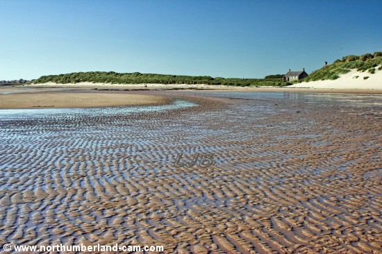 View south along the beach at St. Aidan's Dunes.